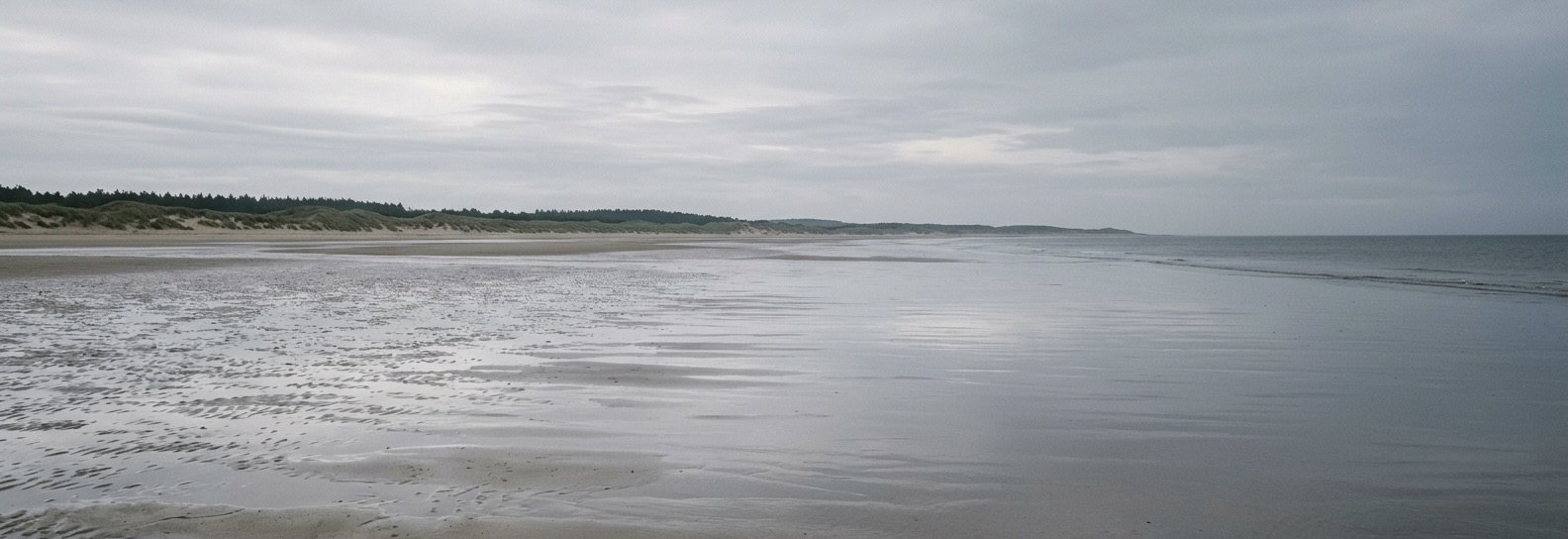 A wide sandy beach at low tide with dunes and pine woodland along the horizon, typical of the Sefton coast